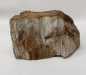 Preview: Versteinertes Holz Sumatra